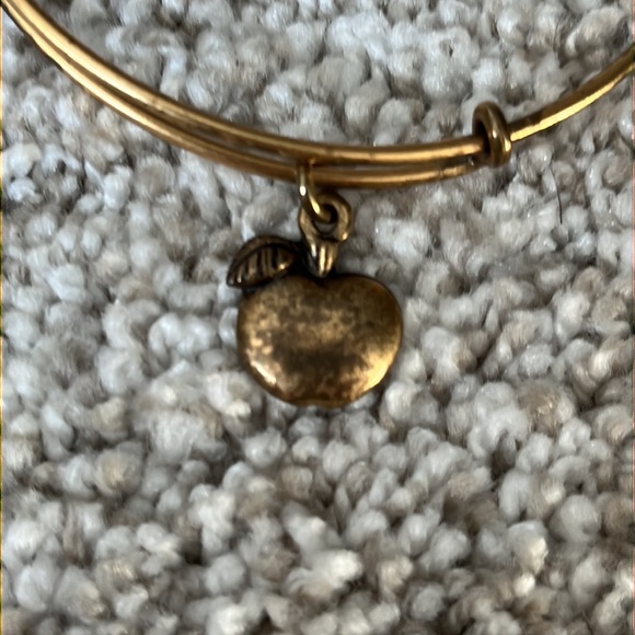 Alex and Ani Teacher Apple Charm Bracelet - Picture 2 of 3